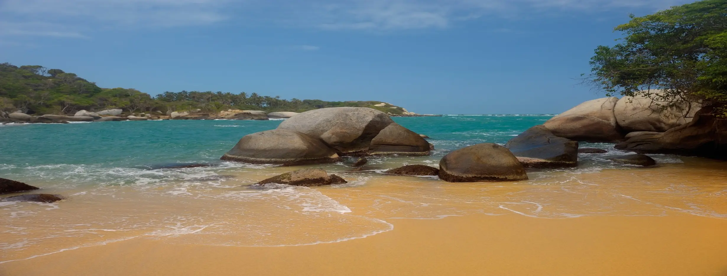 Image for Tropical Tranquility